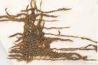 Etikett zu Textil (NHMW-PRAE-114580)
